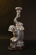 Stand Position Single Elephant