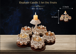 Elephant Candle 5 Set Dry Fruits ( AT-0277 )