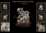 Single Small Elephant on Rock