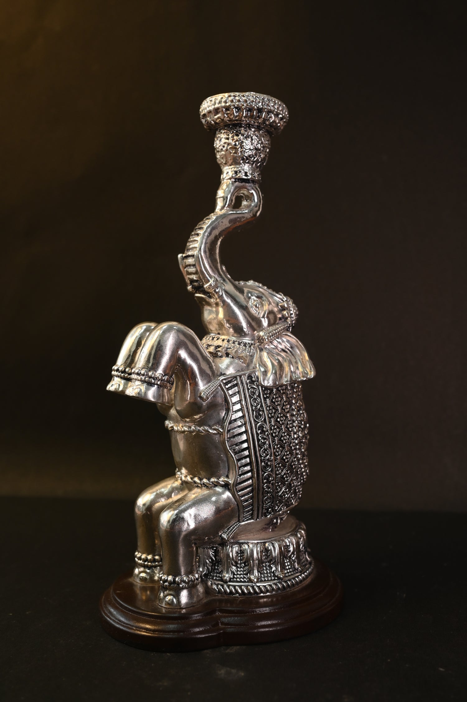 Stand Position Single Elephant
