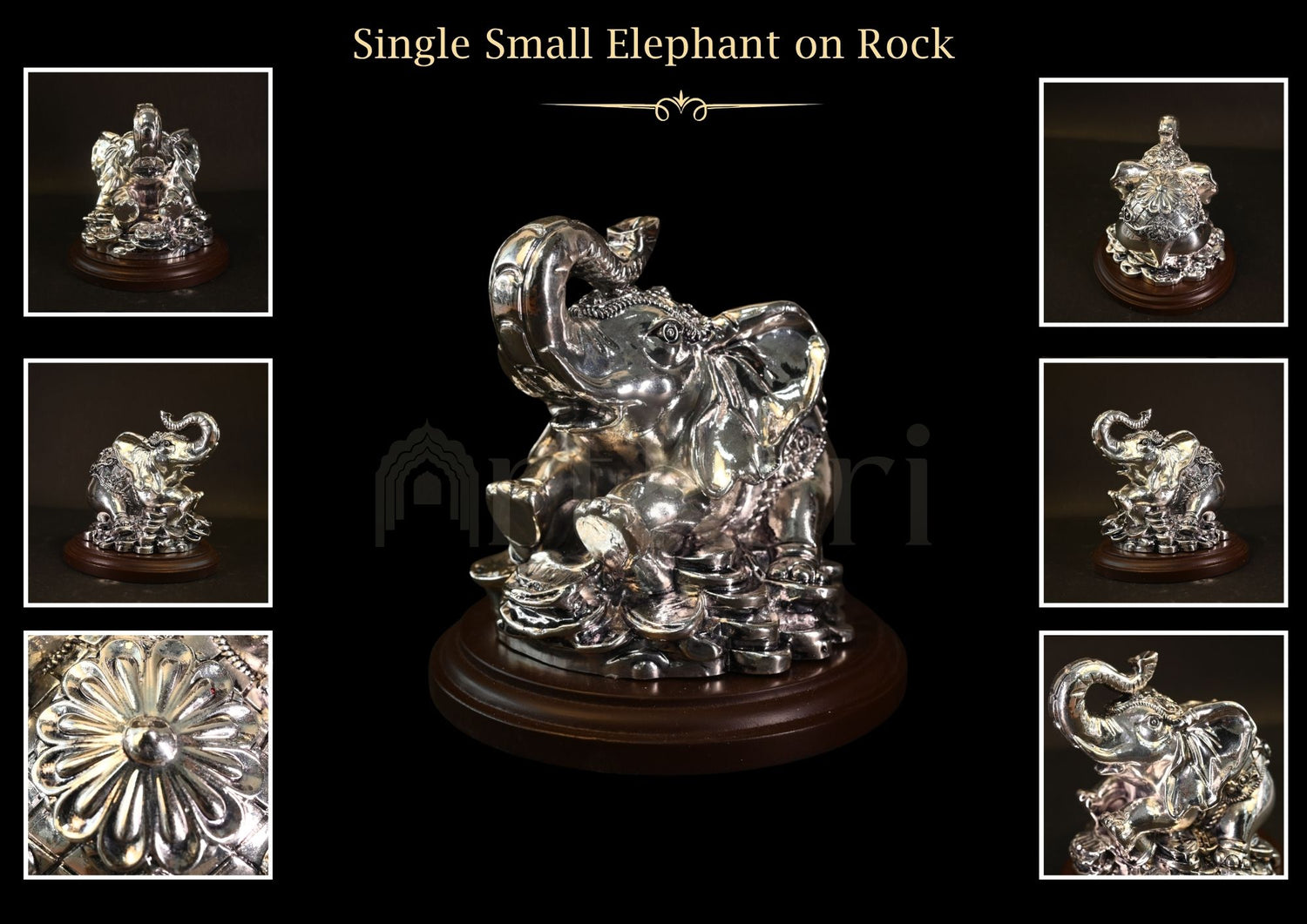 Single Small Elephant on Rock